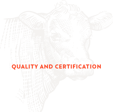 Qualidade e certificação